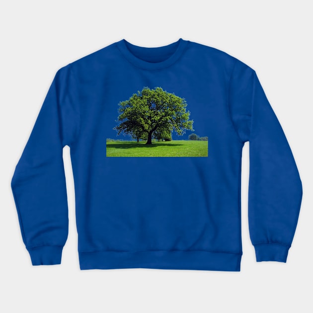 Majestic Oak tree Crewneck Sweatshirt by soitwouldseem